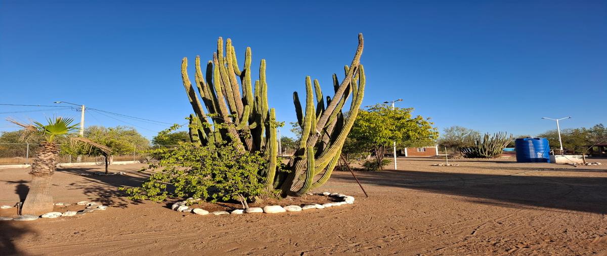 Foto de casa en venta en hacienda el alamito , real del alamito [fraccionamiento campestre], hermosillo, sonora, 29324993 No. 03